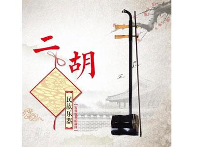 招聘乌鲁木齐二胡家教老师